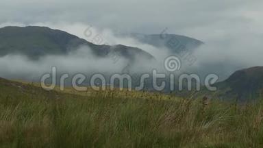 雾中的草地和翻滚的山峦